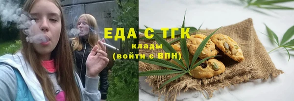 ECSTASY Богданович